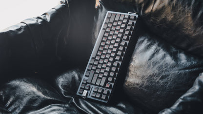 Ego 80 Aluminum Case